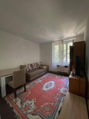 cozy studio apartment in the city center + free parking